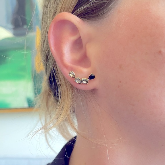 Metal and Crystal Crawler Earrings - Picture 2 of 4